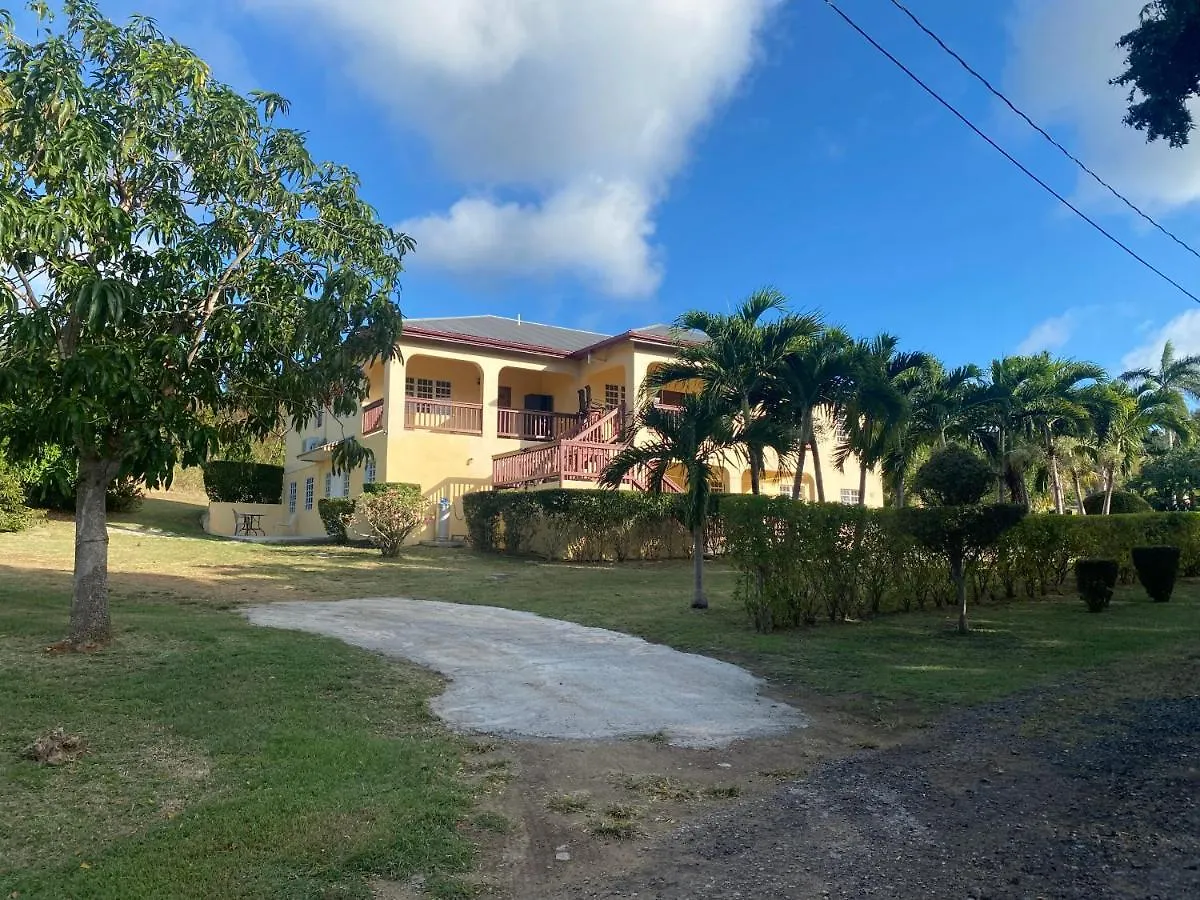 New! Bluestone Getaway In Christiansted Usvi ! Apartment